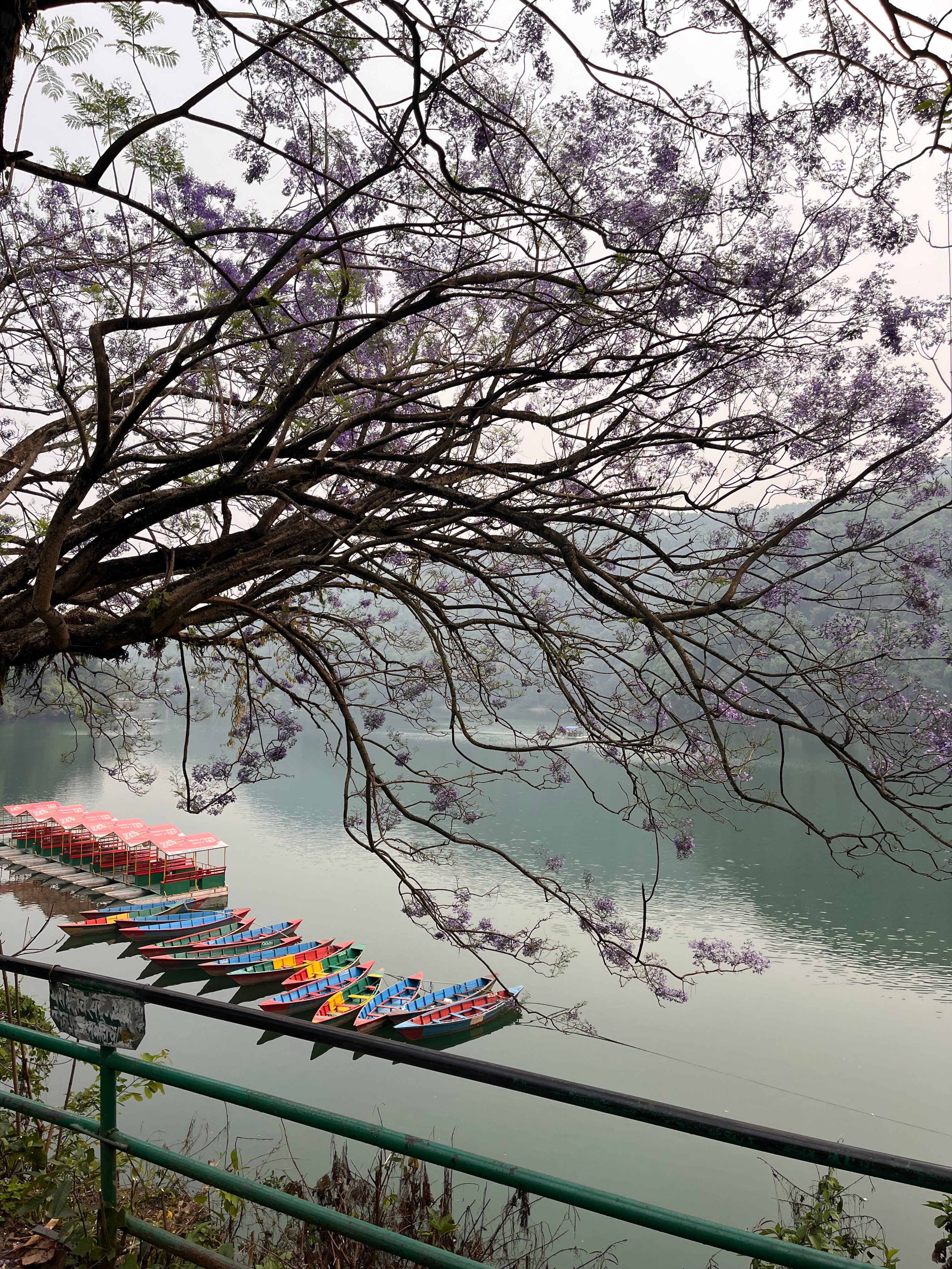 Nepal Newness pt.1